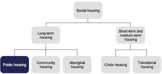 Figure 1A shows State government supported housing options