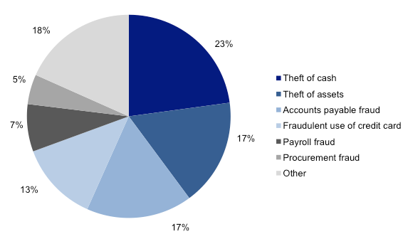 Figure 1A shows Proportion of major fraud incidences by type