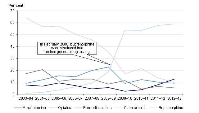 Figure 1B shows the types of drugs detected in all positive urinalysis drug tests across the prison system from 2002–03 to 2012–13