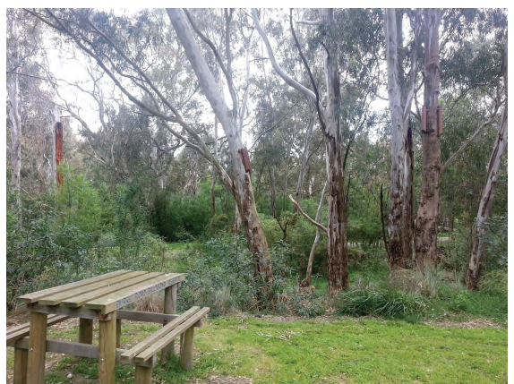 The photo shows the Burke Road Billabong Reserve