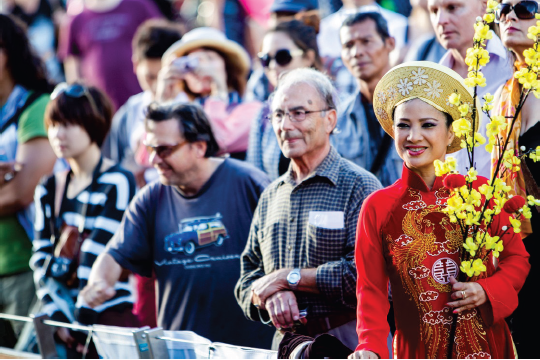 Crowd at VIVA Festival. Photograph by Jorge De Araujo. By permission of the Victorian Multicultural Commission.