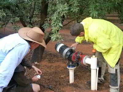 The photograph shows an irrigation systems check on an almond orchard in the Mallee, where funding was provided to upgrade the irrigation system and to carry out an irrigation systems check.
ECL tranche 2—Water Smart Farms.
Photograph courtesy of DEPI.