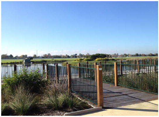 Image shows boardwalk in centre of reserve. Photograph courtesy of the Victorian Auditor-General's Office.