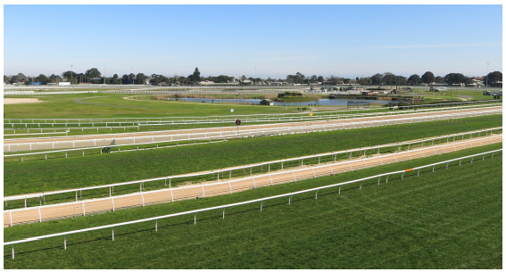 Image shows the encroachment of fencing on the reserve. Photograph courtesy of the Victorian Auditor-General's Office.