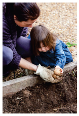 Image of a woman and small child gardening. Photograph courtesy of FiledIMAGE/Shutterstock.com
