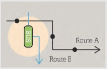 Diagram of example bus route.