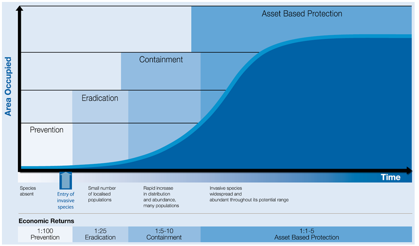 Figure 1A displays a generalised invasion curve showing actions appropriate to each stage.