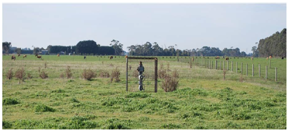 Gas well located in a grazed paddock. Photograph courtesy of DEDJTR.