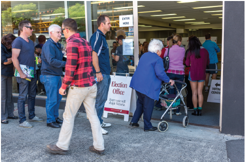 Photograph of people queuing to vote