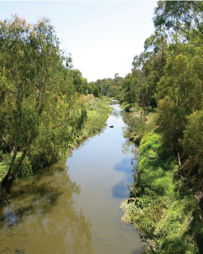 Photo of Merri Creek in Melbourne's northern suburbs.