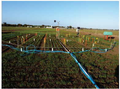 Photo of scientific equipment set up in a field to measure grain growth and quality. Photograph supplied by the Department of Economic Development, Jobs, Transport & Resources.