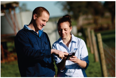 Photo of two people using a smart phone app to rapidly identify plant pests and diseases. Photo supplied by the Department of Economic Development, Jobs, Transport & Resources.