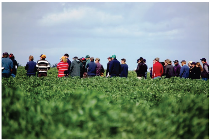 Photo shows a group of farmers in a field. Photo supplied by the Department of Economic Development, Jobs, Transport & Resources.