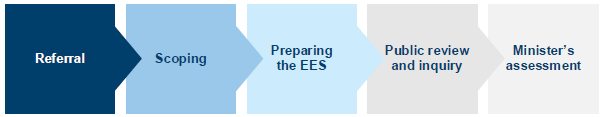 Summary of the stages of the EES process
