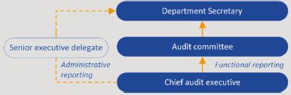 Diagram showing the position of the chief audit executive