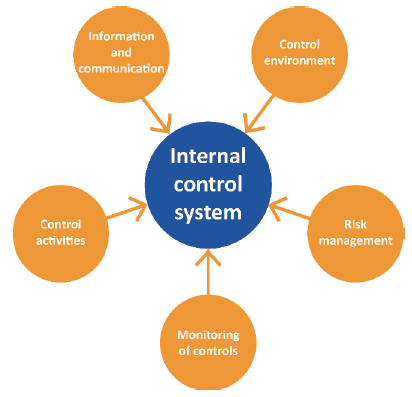 Infographic showing elements of an internal control system