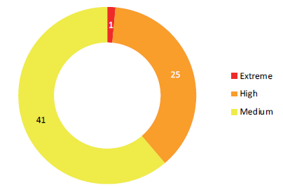 Donut chart showing IT control activities