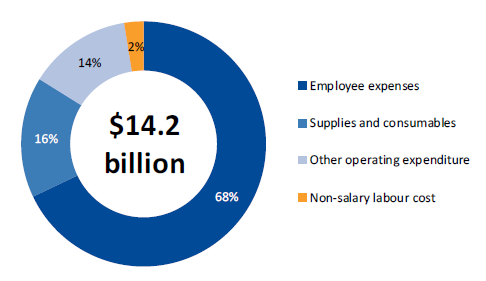 Chart showing public hospitals' operating expenditure, 2016–17