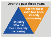Box showing increase in the liquidity ratio and decrease in indebtedness