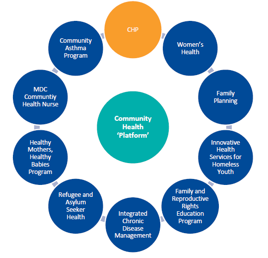 Illustration listing state-funded primary and community health programs