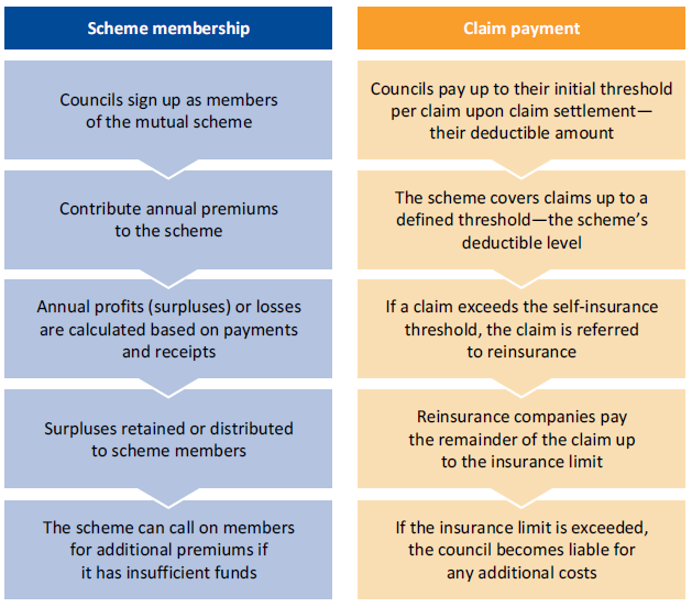 Figure 1D shows a process map of a mutual insurance scheme