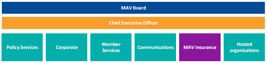 Figure 1F shows MAV's organisational structure