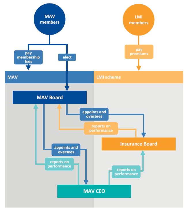 Figure 3V shows MAV and LMI governance structure
