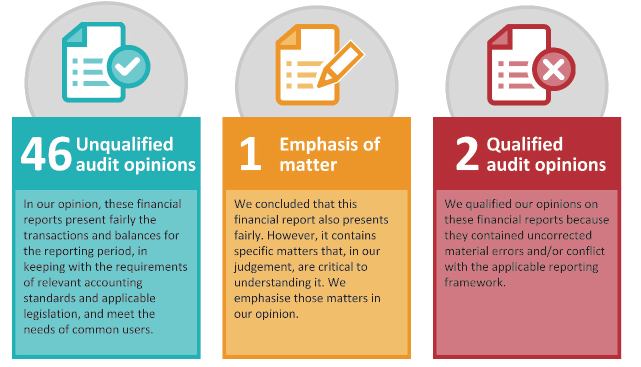 Figure shows that there were 46 Unqualified audit opinions, 1 Emphasis of matter and 2 Qualified audit opinions.