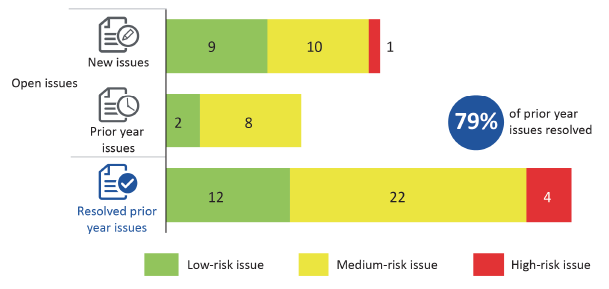 Figure 2G summarises the internal control issues we identified over 2018.