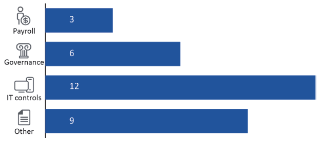 The themes for open issues are payrool (3), governance (6), IT controls (12) and other (9).