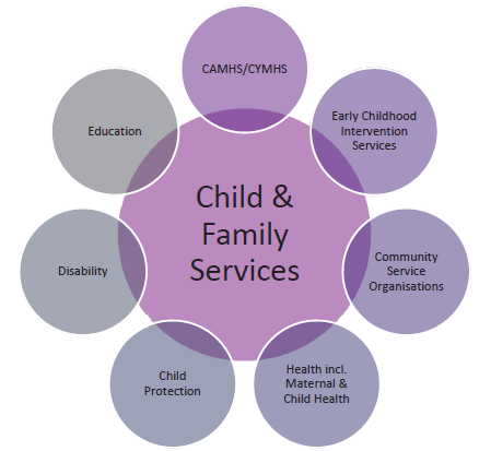 Figure 1C shows one CYMHS's description of the service system for its clients and their role within it.