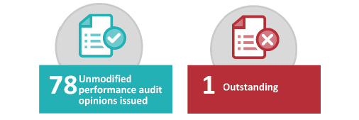 Figure 2B shows local government sector performance statement audit opinions issued for the year ended 30 June 2019