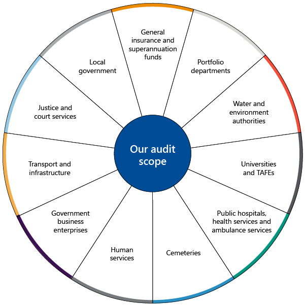 FIGURE 3A: Our financial audit scope