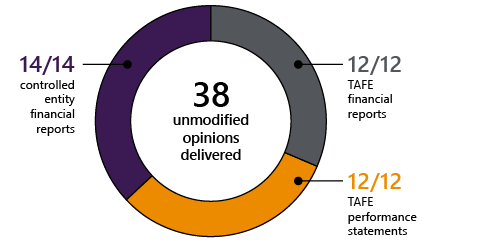 Audit opinions delivered for the 2021 period.