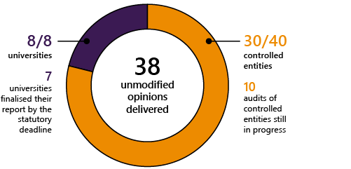 Audit opinions delivered for the 2021 period