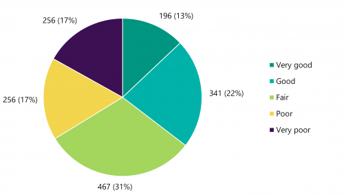 Figure E: Asset condition assessment results (2021)