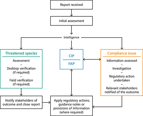 FIGURE 1C: Forest report process