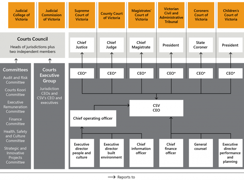 FIGURE 1D: CSV's governance structure