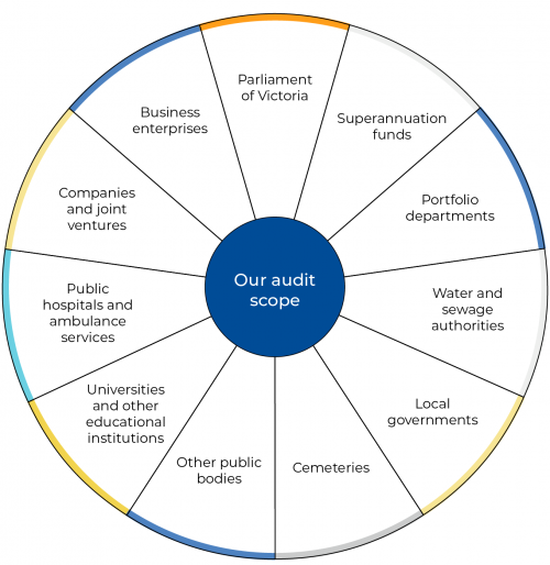 Financial audit program scope