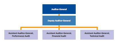 Diagram showing VAGO leadership structure