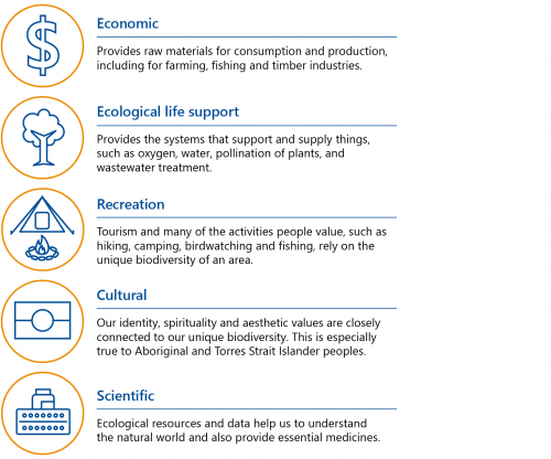 FIGURE 1A: Five related benefits of biodiversity to humans