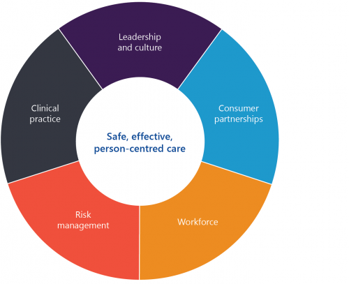 FIGURE 1H: Clinical governance domains