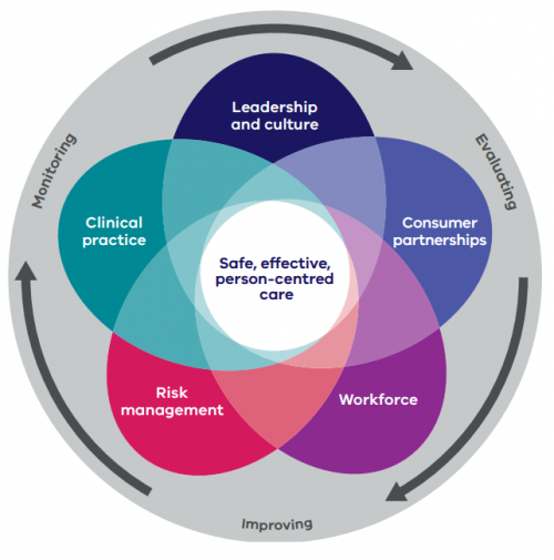 FIGURE 1C: VCGF domains for safe, effective and person-centred care