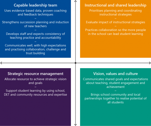 FIGURE 1A: The dimensions of professional leadership