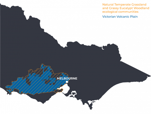 Figure 1A  Victorian Volcanic Plain prior to European settlement