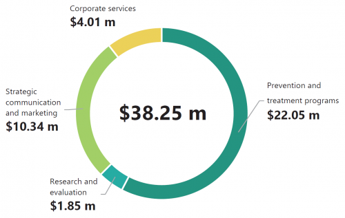 FIGURE 1D: The Foundation's budget allocation by business function, 2020–21 