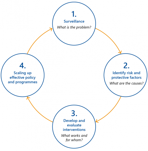 FIGURE 1C: The steps of a public health approach to interventions