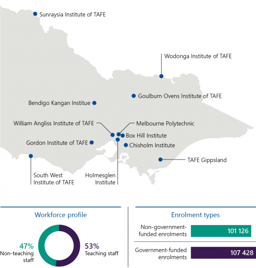 FIGURE 1A: The TAFE sector in 2020