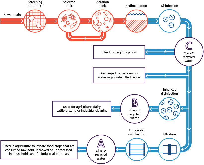 Figure 1D is an infographic that shows the recycled water production process.