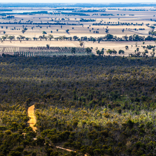 BushBroker Native Vegetation Offset Scheme, Victoria (Australia)